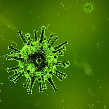 How COVID19 Can Spread In A Community