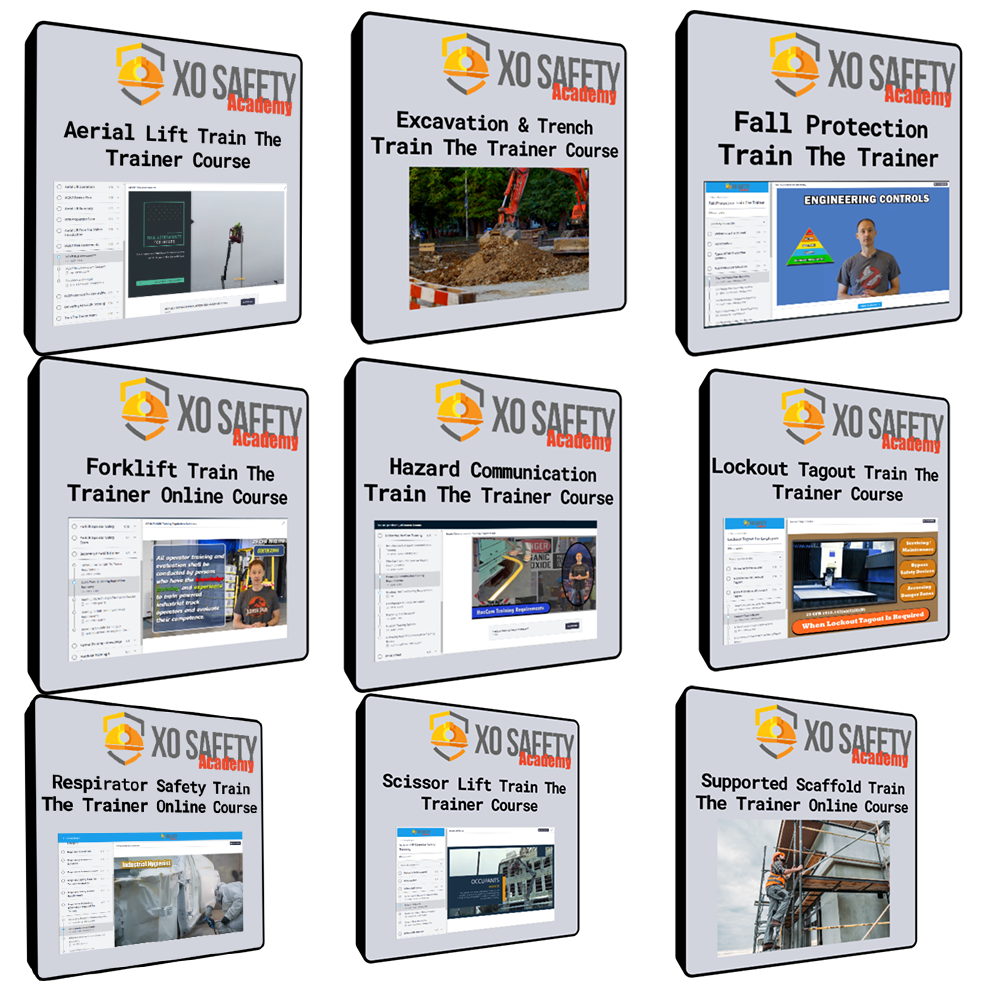 Online Safety Train The Trainer Courses