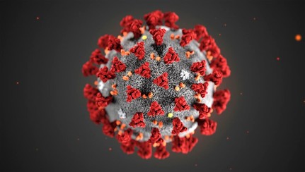 Coronavirus Disease 2019 (COVID-19)